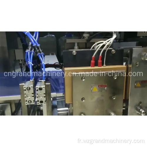 Nano Turmeric Solution Ampoule Machine de remplissage GGS-240